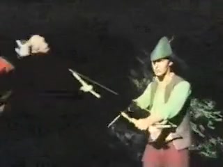 Robin Hood der Raecher der Besamten